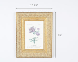 Custom Gold Framed-Flowers in March Print-Gift for Art Collector Tamara Scott Designs