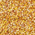 Seed Beads-11/0 Round-402 White Funky Yellow-Miyuki-16 Grams