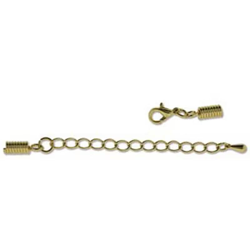 Findings-Spring With Loop End-2 Inch Chain Extender-Gold-Quantity 1