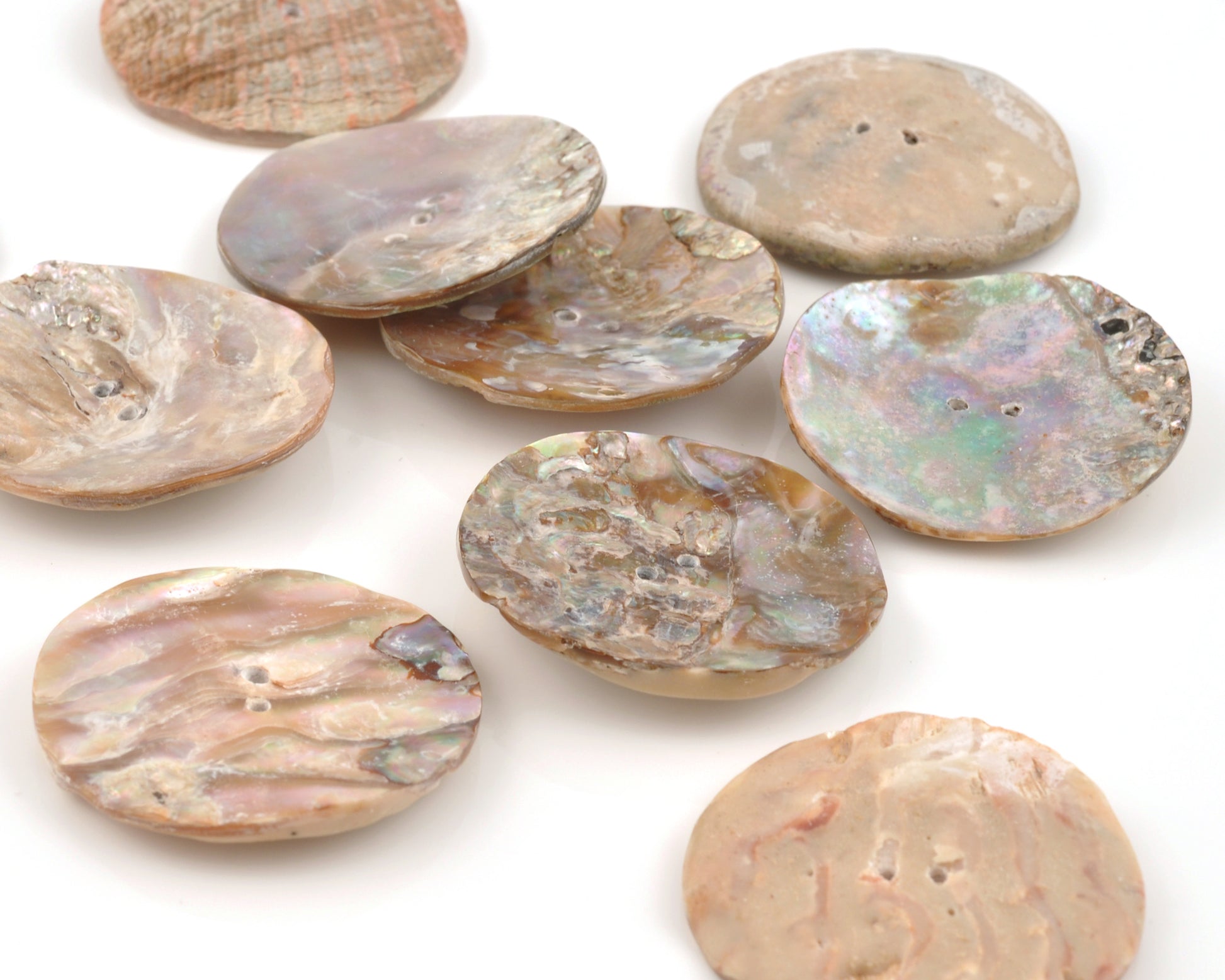 Button-39mm Iridescent Pāua Shell-Quantity 1 Tamara Scott Designs