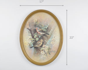 Vintage Oval Art Print Framed by Ruane Manning-Chaffinch Finch Bird Illustrations-Signed Print-Ornate Victorian-Style Wall Decor-RARE FIND Tamara Scott Designs