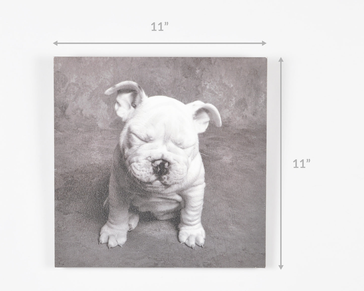 Vintage Wall Art-Baby Tears Ginger DeLater Art Print-Bulldog Lover Gift Tamara Scott Designs