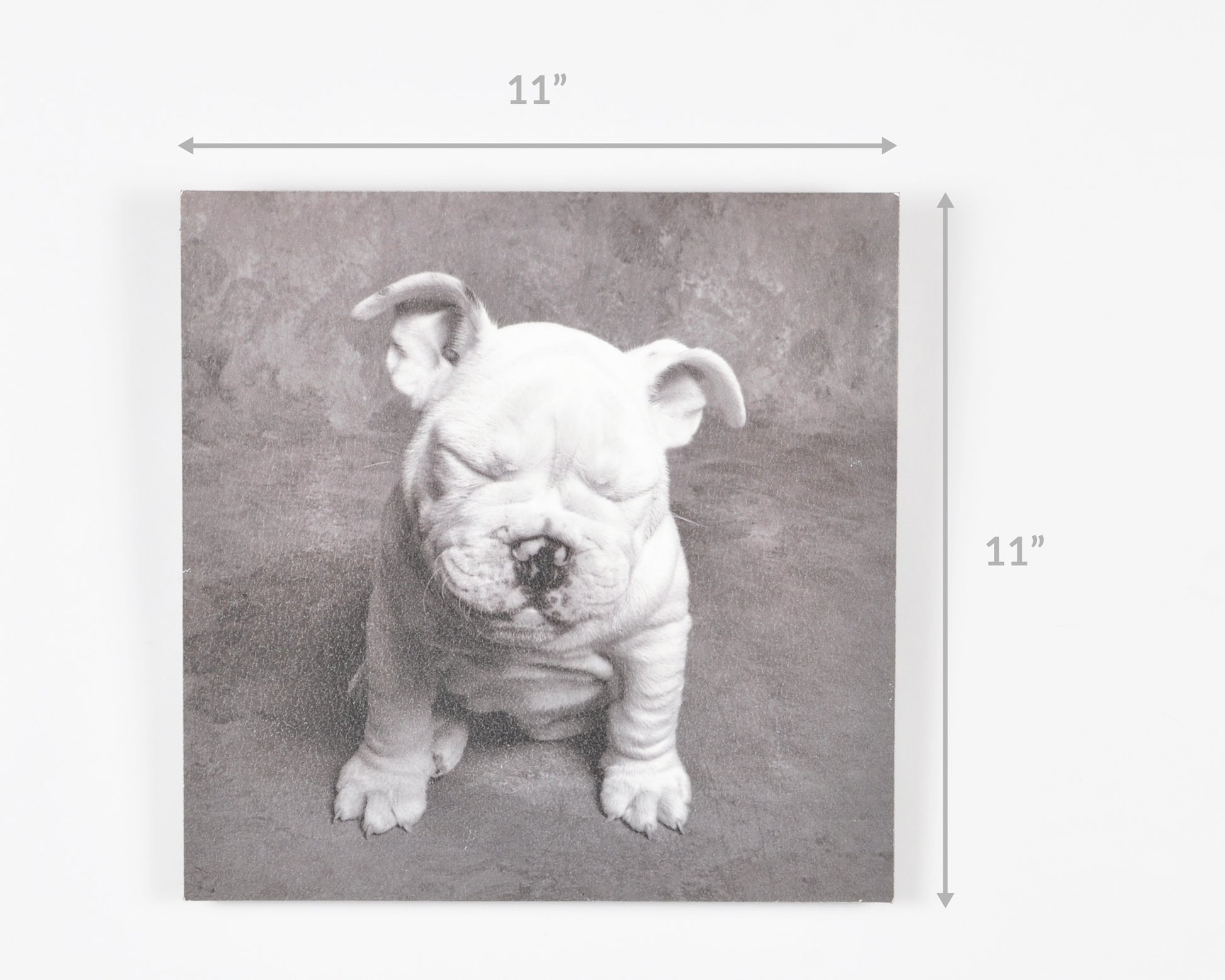 Vintage Wall Art-Baby Tears Ginger DeLater Art Print-Bulldog Lover Gift Tamara Scott Designs