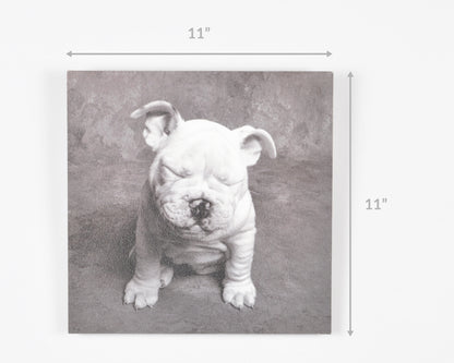 Vintage Wall Art-Baby Tears Ginger DeLater Art Print-Bulldog Lover Gift Tamara Scott Designs