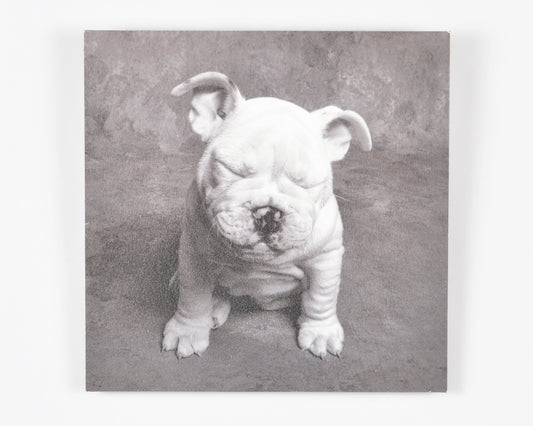 Vintage Wall Art-Baby Tears Ginger DeLater Art Print-Bulldog Lover Gift Tamara Scott Designs