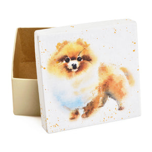 Gift Boxes-Spitz Portrait Small Dog-Paper Mache-Square-X-Small-Quantity 1