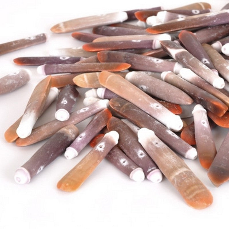 Natural-5x35mm Sea Urchin Stick Bead-Quantity 24