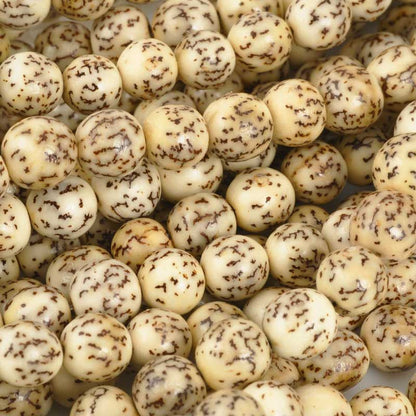 Natural Beads-8mm Round-Salwag-Natural Pucalet