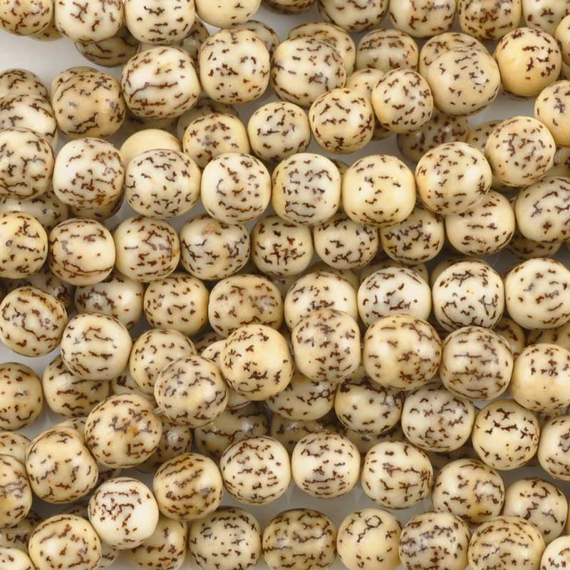 Natural Beads-8mm Round-Salwag-Natural Pucalet