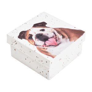 Gift Boxes-Bulldog Portrait-Paper Mache-Square-X-Small-Quantity 1